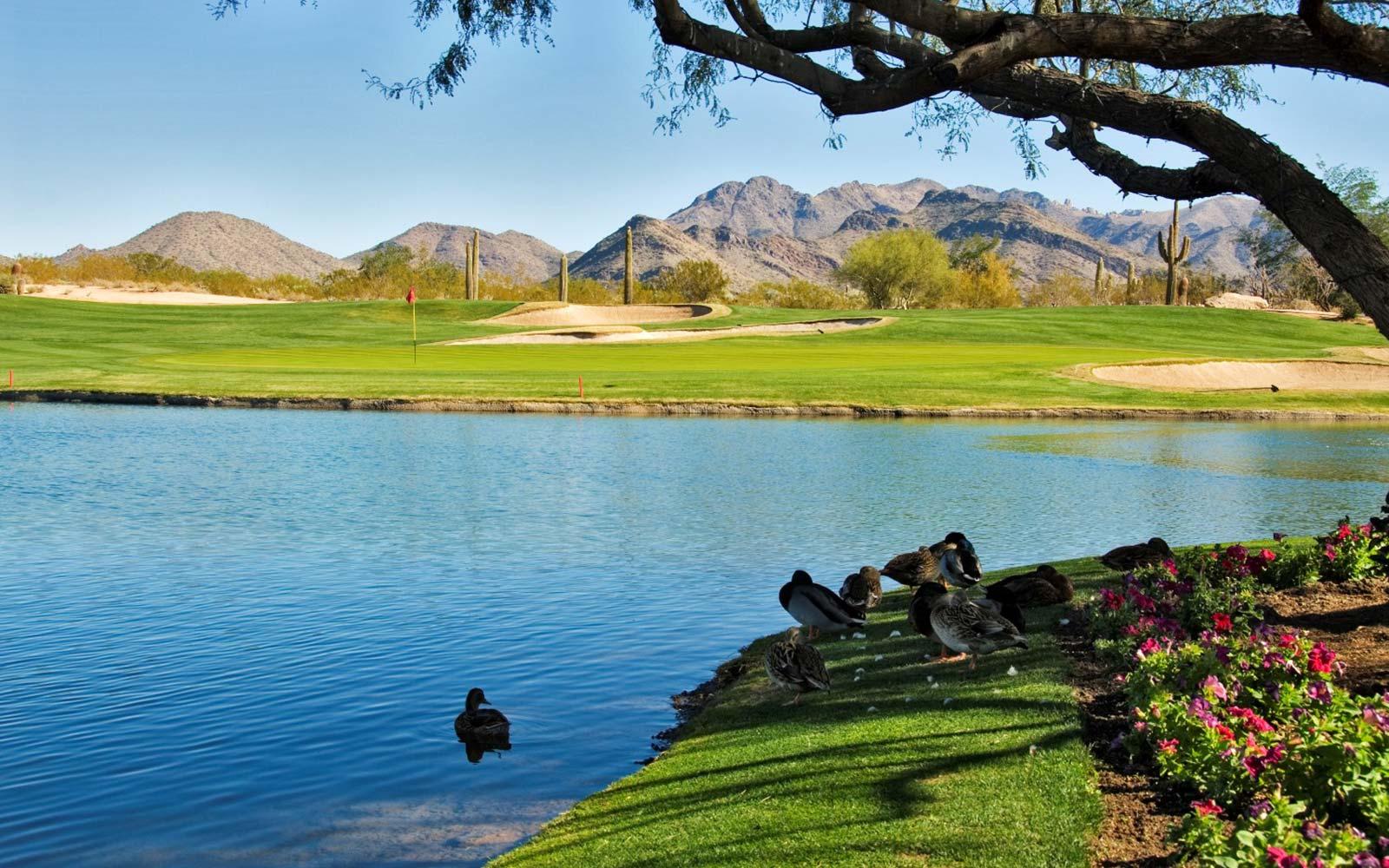 Ron Top Realtor Festival's Best Homes Neighborhood Expert